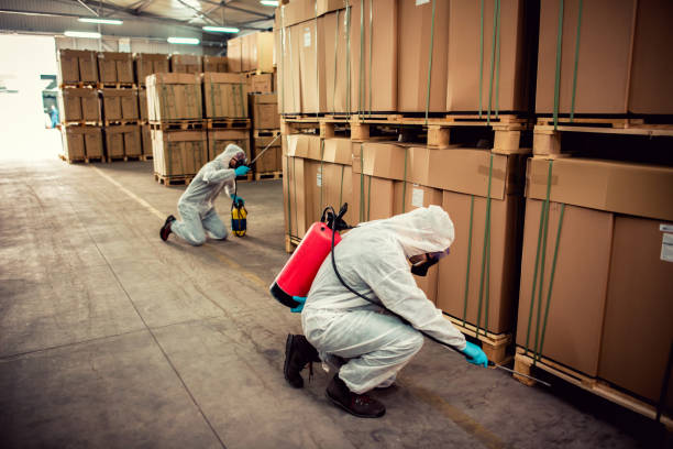 Best Cockroach Control Services  in Mount Pleasant, NC