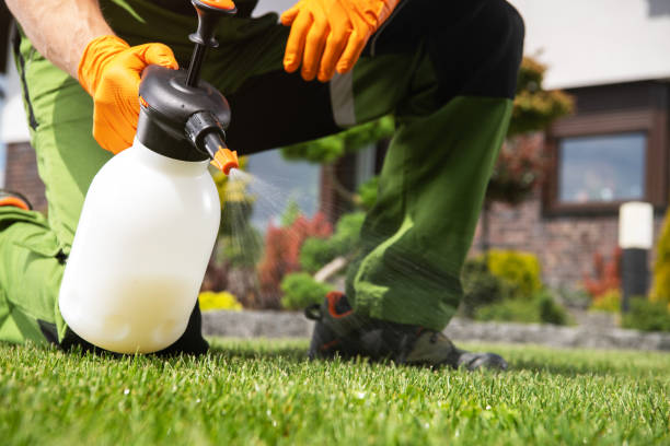 Pest Control Cost in Mount Pleasant, NC