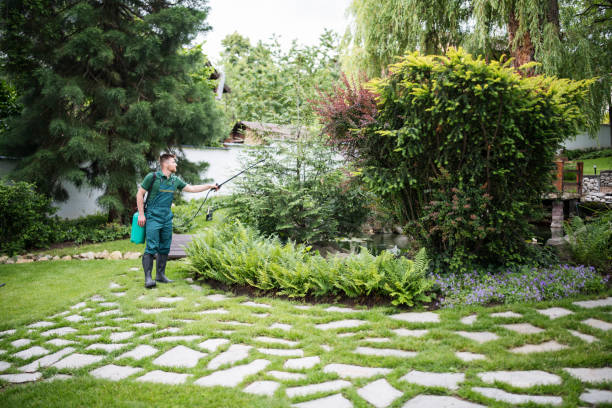 Best Wasp Removal Services  in Mount Pleasant, NC