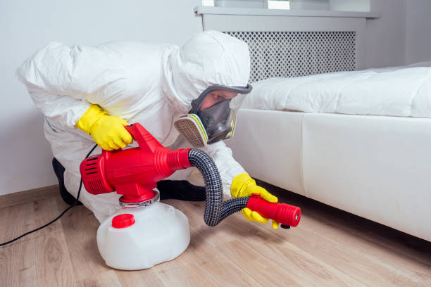 Reliable Mount Pleasant, NC Pest Control Solutions