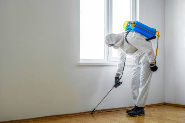 Best Emergency Pest Control  in Mount Pleasant, NC
