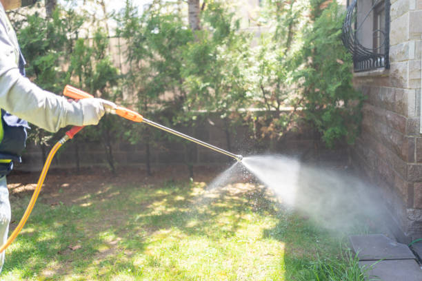 Best Flea Control Services  in Mount Pleasant, NC
