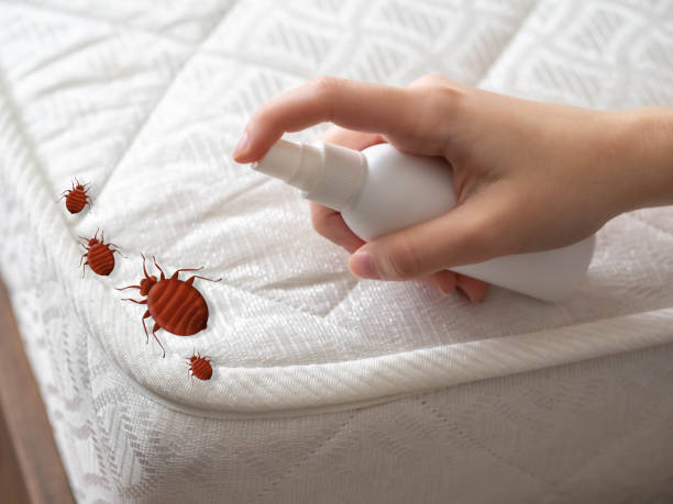 Best Pest Prevention Services  in Mount Pleasant, NC